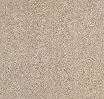 Ковровая плитка Balsan Serenite Dalle 721 Serenite Dalle фото 1 | FLOORDEALER