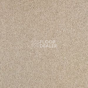 Ковровая плитка Balsan Serenite Dalle 721 Serenite Dalle фото 1 | FLOORDEALER