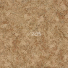 Линолеум Tarkett Force Nubia 3 фото 1 | FLOORDEALER