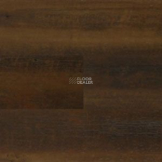 Polyflor Expona Wood 6156 фото 1 | FLOORDEALER