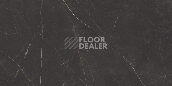 Керамогранит Nolana ( Нолана ) 60 x 120 x 10 NL04 фото 6 | FLOORDEALER