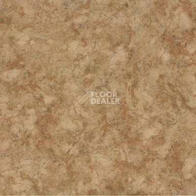 Линолеум Tarkett Force Nubia 3 фото 1 | FLOORDEALER