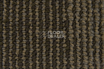 Escom Coral 5414 фото 3 | FLOORDEALER