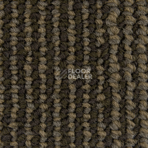 Escom Coral 5414 фото 3 | FLOORDEALER