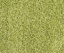 Ковролин Зартекс Кидс Кидс 288 Фисташка фото 1 | FLOORDEALER