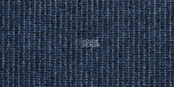 Ковролин Condor Carpets Pablo 420 фото 1 | FLOORDEALER