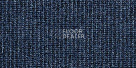 Ковролин Condor Carpets Pablo 420 фото 1 | FLOORDEALER