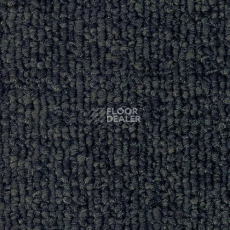 Ковролин Sintelon Horizon 66503 фото 1 | FLOORDEALER