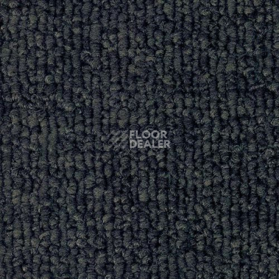 Ковролин Sintelon Horizon 66503 фото 1 | FLOORDEALER