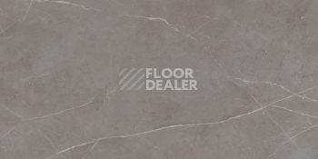 Nolana ( Нолана ) 60 x 120 x 10 NL03 фото 7 | FLOORDEALER