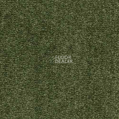 Ковролин Infloor Coronado 450 450 фото 1 | FLOORDEALER