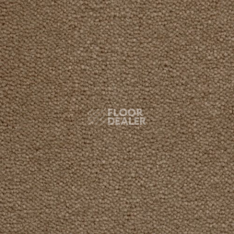 Ковролин Creatuft Sheba 1585 фото 1 | FLOORDEALER