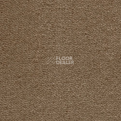 Ковролин Creatuft Sheba 1585 фото 1 | FLOORDEALER