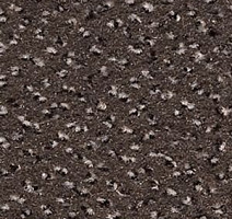 Ковролин Infloor Cayenne 750 фото 1 | FLOORDEALER