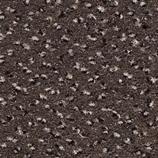 Ковролин Infloor Cayenne 750 фото 1 | FLOORDEALER