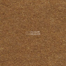 Ковролин AW Hermes 54 фото 1 | FLOORDEALER