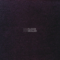 Ковролин Sintelon Eden 74930 фото 1 | FLOORDEALER