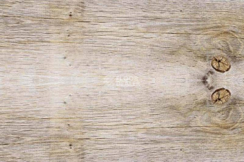 Пробковое покрытие Corkstyle Wood SIBIRIAN LARCH LIMEWASHED фото 1 | FLOORDEALER