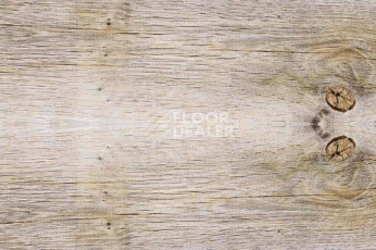 Пробковое покрытие Wood SIBIRIAN LARCH LIMEWASHED фото 1 | FLOORDEALER