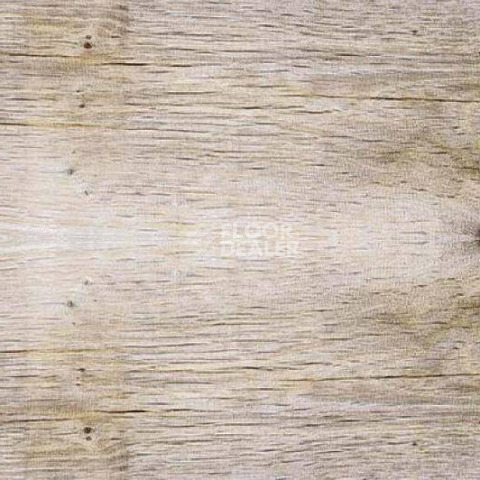 Пробковое покрытие Wood SIBIRIAN LARCH LIMEWASHED фото 1 | FLOORDEALER