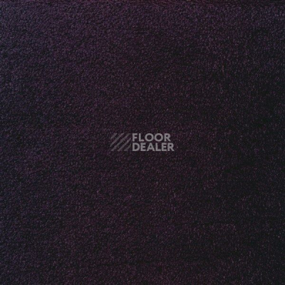 Ковролин Sintelon Eden 74930 фото 1 | FLOORDEALER