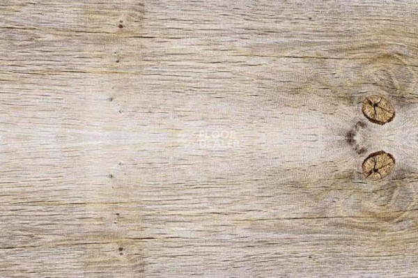 Пробковое покрытие Corkstyle Wood SIBIRIAN LARCH LIMEWASHED фото 1 | FLOORDEALER