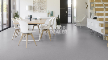 Gerflor Taralay Initial Compact (Plain & allover look) 0955 Spider Perle фото 2 | FLOORDEALER
