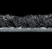 Forbo Coral Welcome 3202 Desperadov фото 4 | FLOORDEALER