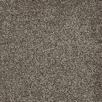 Ковролин AW Sensation 44 фото 1 | FLOORDEALER