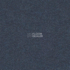 Ковролин Tarkett Ekvator Urb Ekvator 43653 фото 1 | FLOORDEALER