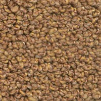 Ковролин Dura Oriental 291 фото 1 | FLOORDEALER