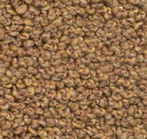 Ковролин Dura Oriental 291 фото 1 | FLOORDEALER