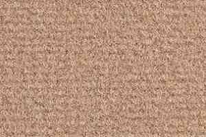 Ковролин Balsan Acadie DD Acadie 735 фото  | FLOORDEALER