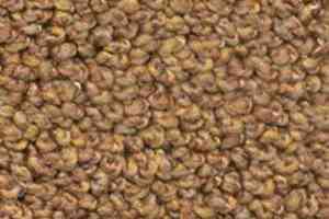 Ковролин Dura Oriental 291 фото  | FLOORDEALER