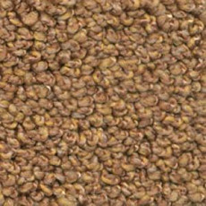 Ковролин Dura Oriental 291 фото 1 | FLOORDEALER