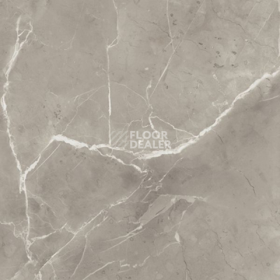 Керамогранит Purity Of Marble 60*60 Elegant Greige Lux RT 60eg фото 1 | FLOORDEALER