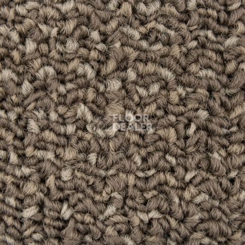 Neuflor Sandunes 300506 фото 2 | FLOORDEALER