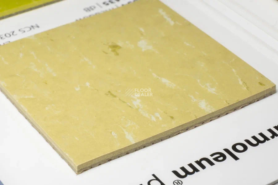 Forbo Marmoleum Solid Piano 3634-363435 meadow фото 3 | FLOORDEALER