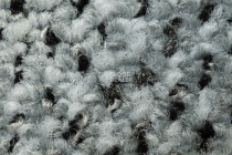 Balsan Take a Walk Rolls 910 фото 5 | FLOORDEALER