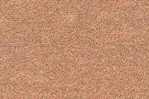 Ковролин AW Spinta 80 фото  | FLOORDEALER