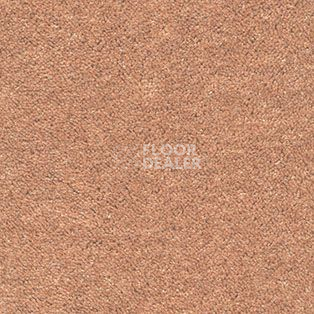 Ковролин AW Spinta 80 фото 1 | FLOORDEALER