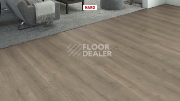 Haro Tritty 90 Дуб Бари Серый 544678 фото 3 | FLOORDEALER