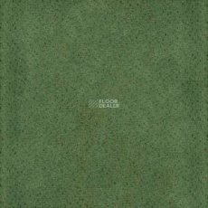 PVH Arena 2708 Green фото 1 | FLOORDEALER