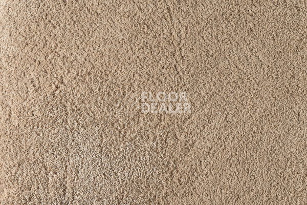 Ковролин ITC Silky Lush Silky Lush 033 фото 1 | FLOORDEALER