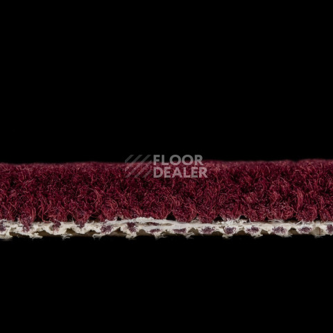 Balsan Les Best 590 фото 3 | FLOORDEALER