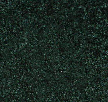 Ковролин Hidden Treasure Beaulie of America Black Forest 01 фото 1 | FLOORDEALER