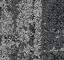 Ковровая плитка Balsan Vision - CTB Planks 910 фото 1 | FLOORDEALER