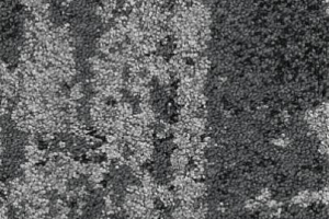 Ковровая плитка Balsan Vision - CTB Planks 910 фото  | FLOORDEALER