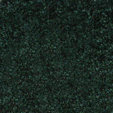 Ковролин Hidden Treasure Beaulie of America Black Forest 01 фото 1 | FLOORDEALER