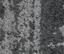 Ковровая плитка Balsan Vision - CTB Planks 910 фото 1 | FLOORDEALER